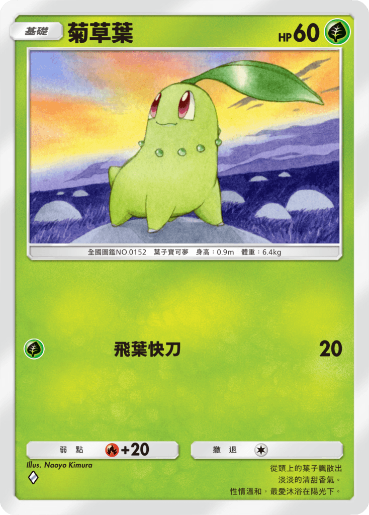 07_菊草葉