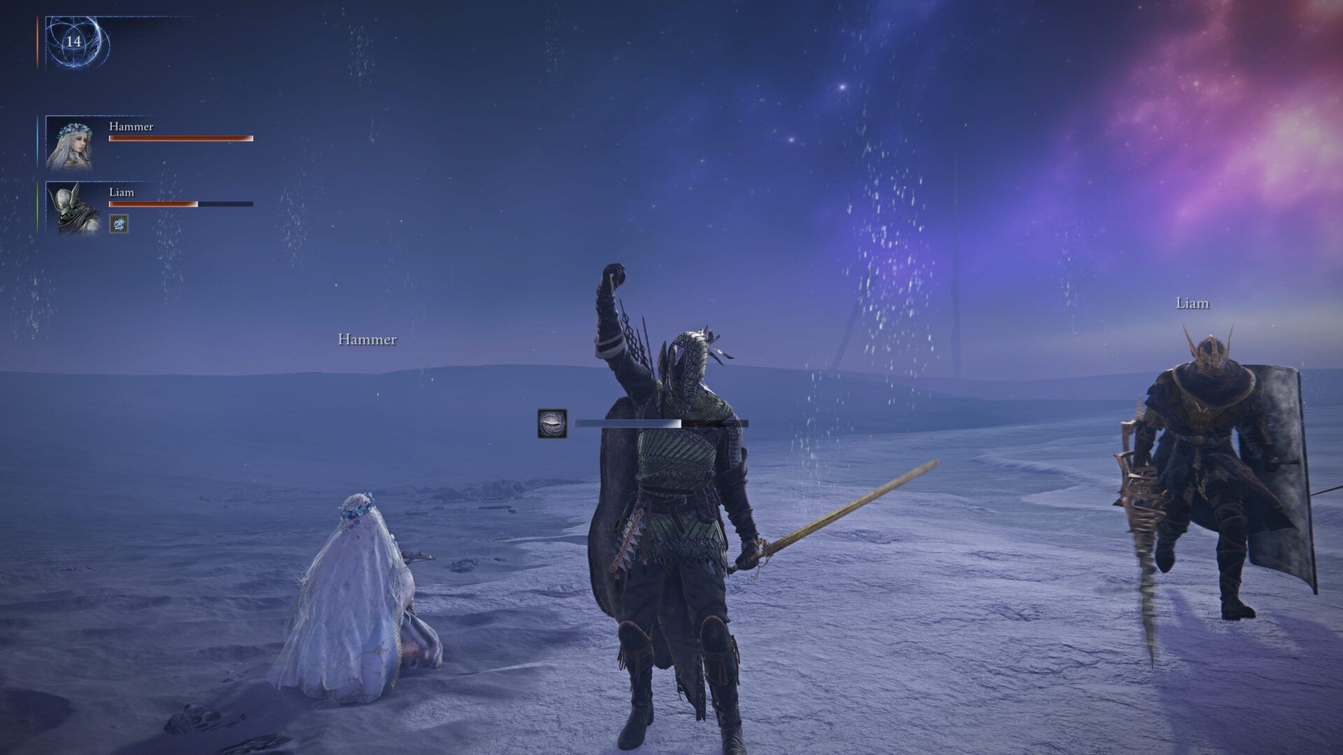 ELDEN RING NIGHTREIGN_20250525034016