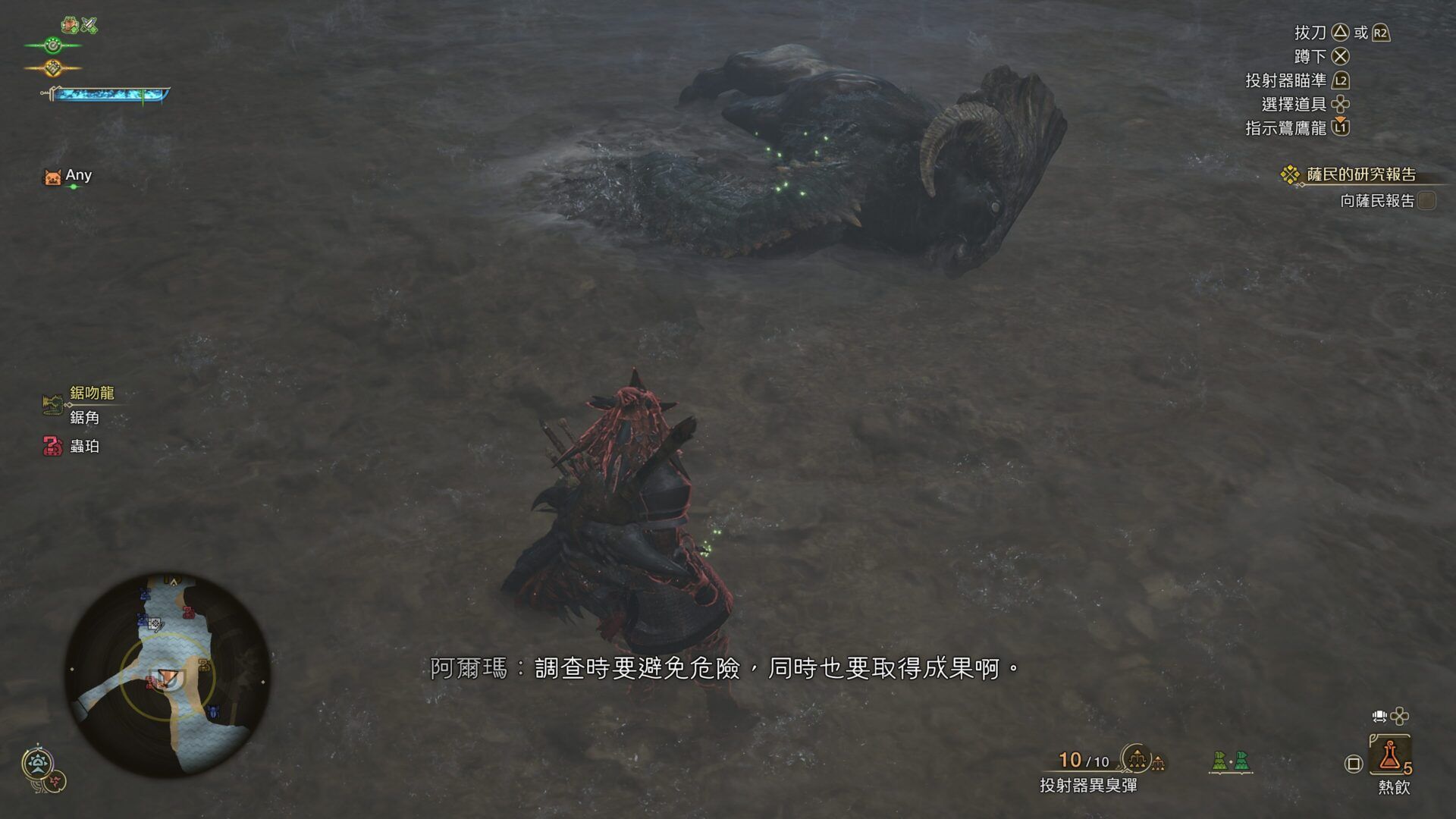 Monster Hunter Wilds_20250307035128