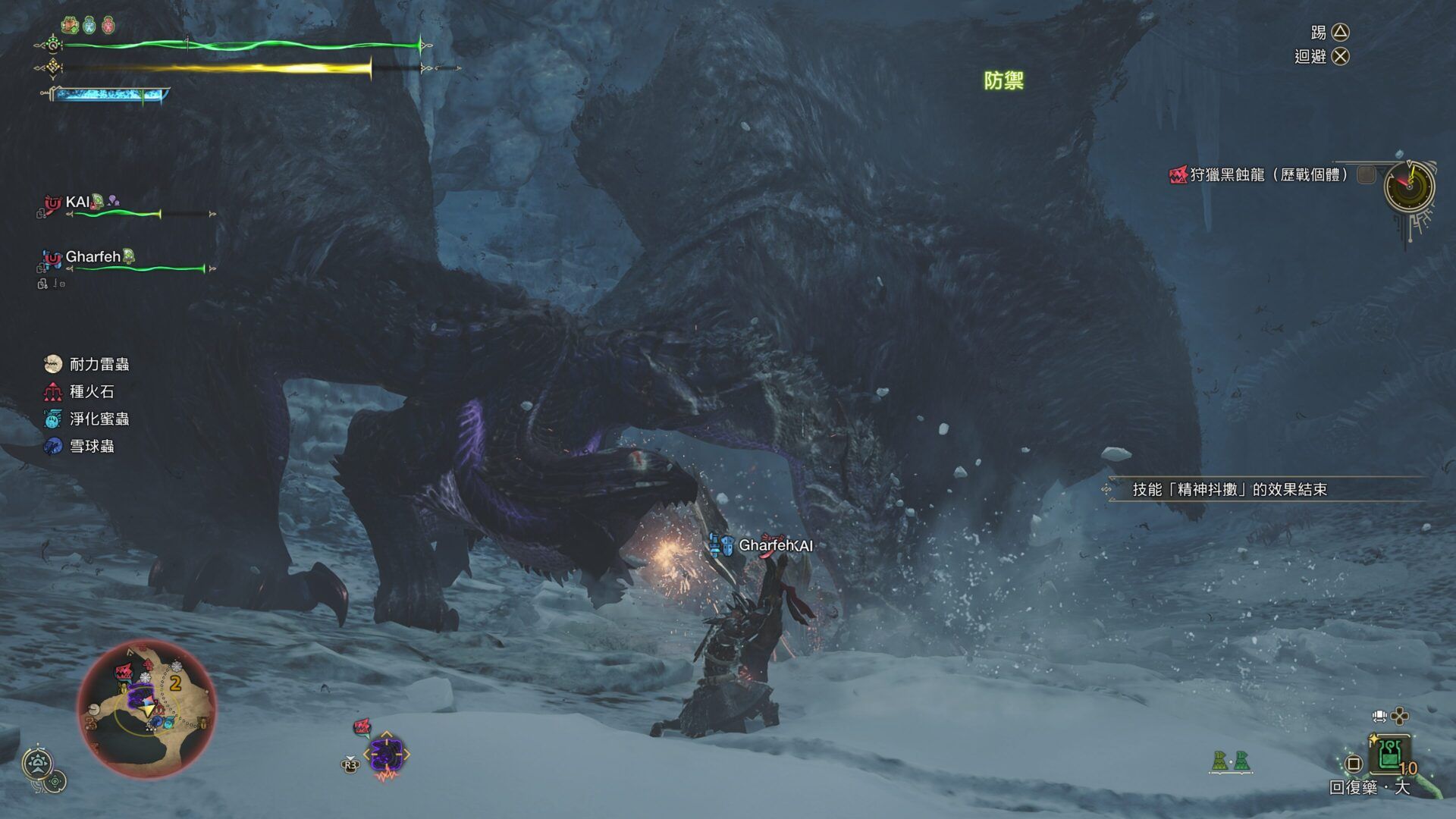 Monster Hunter Wilds_20250308012251