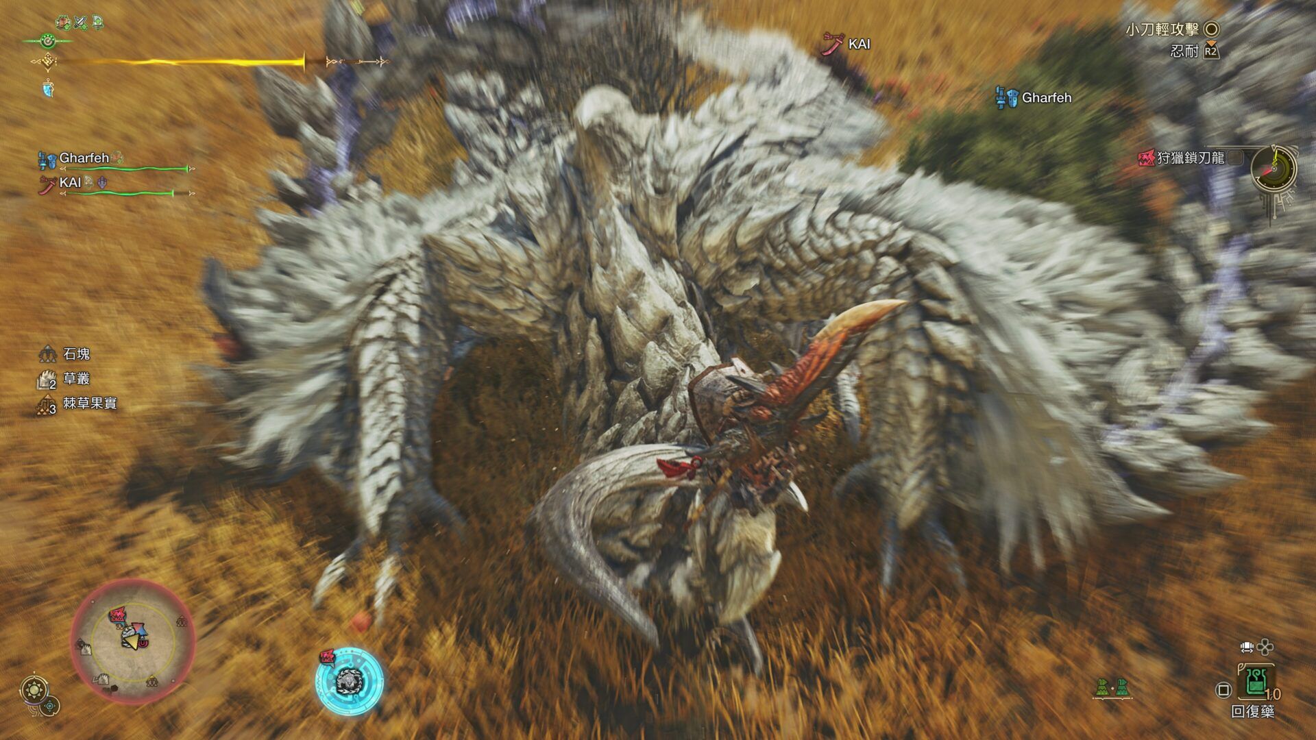Monster Hunter Wilds_20250308032425