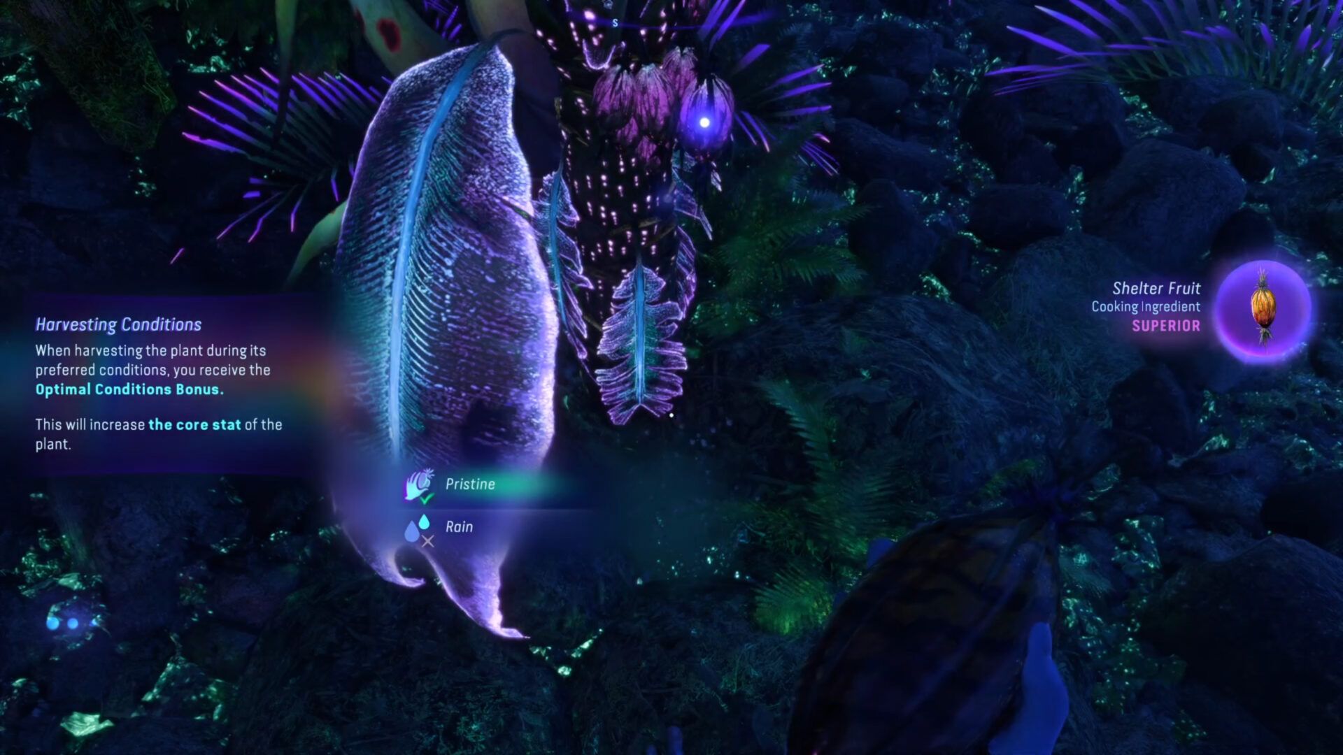 Screenshot (31)
