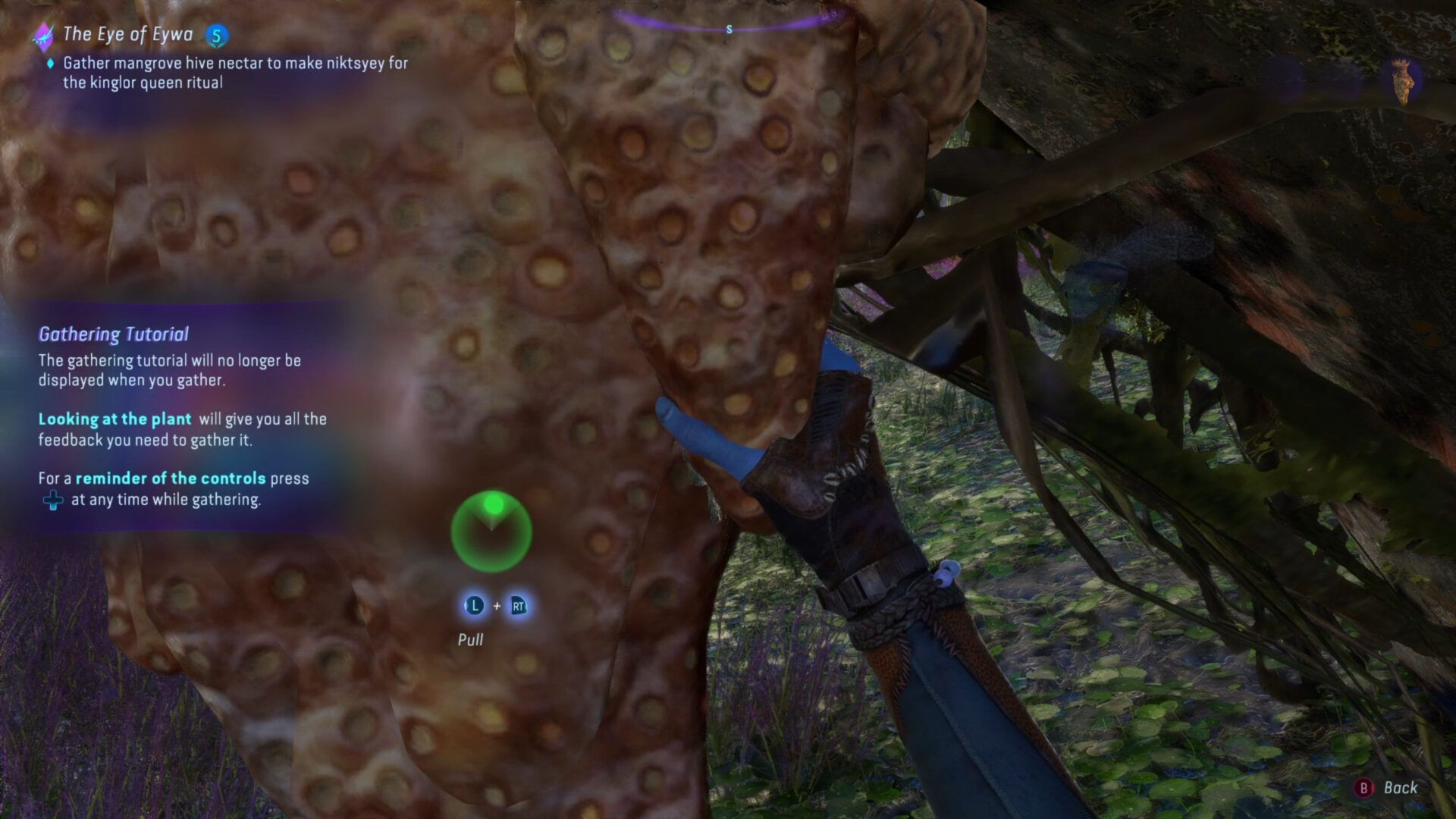 Screenshot (49)
