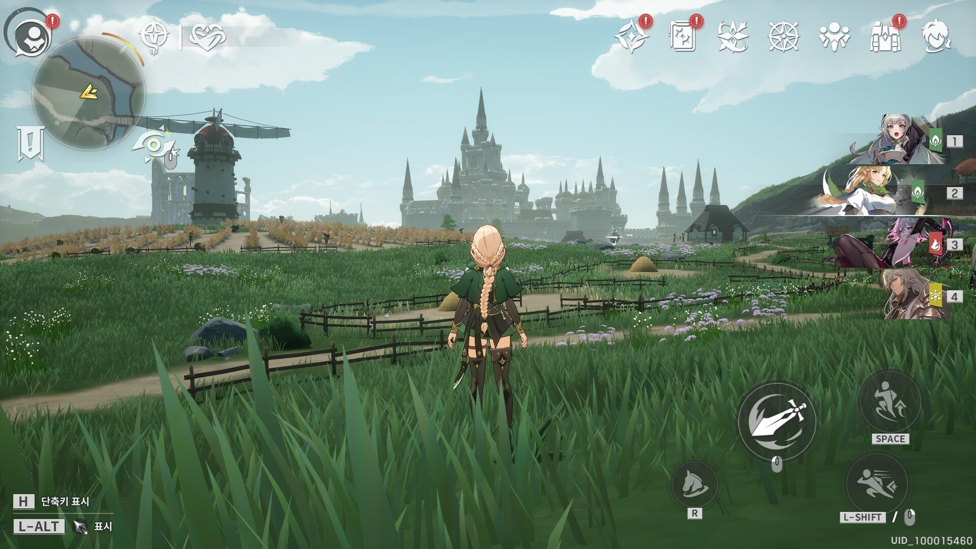 The Castle View