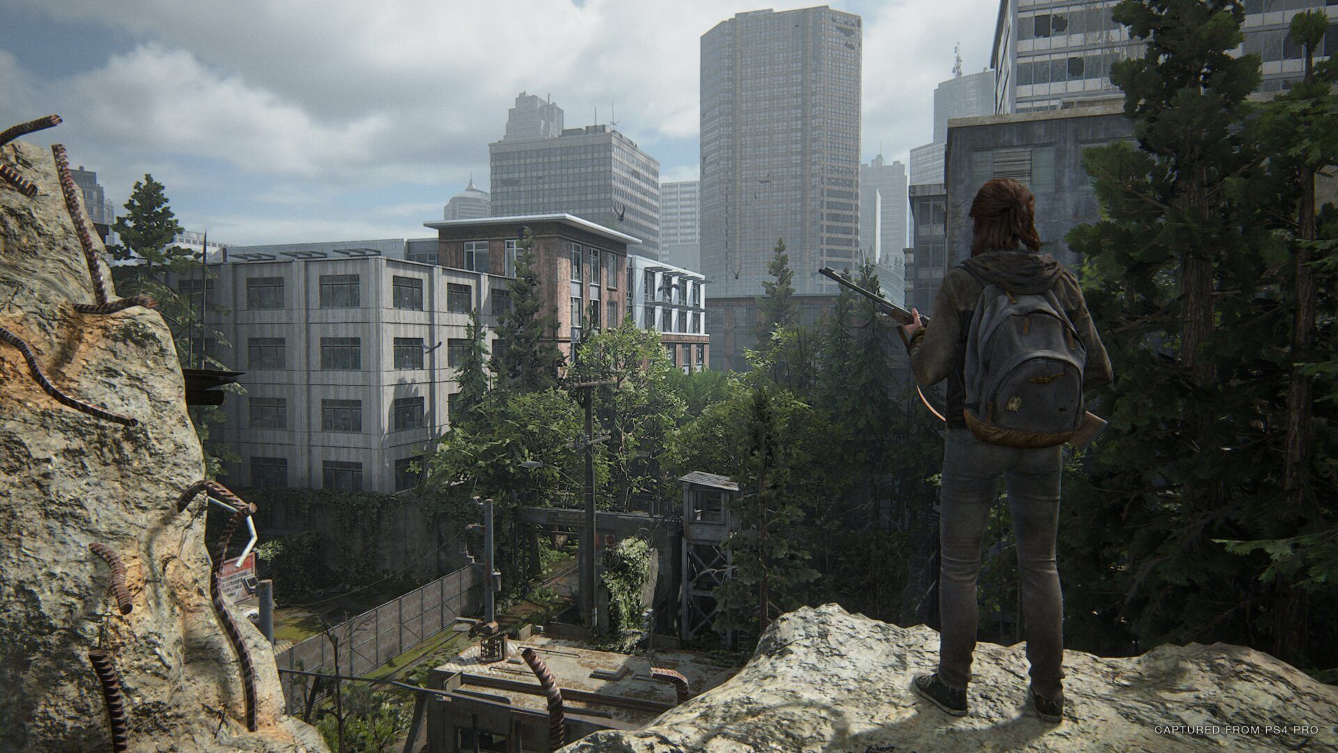 tloupii-review-screenshot-01-1591947052132