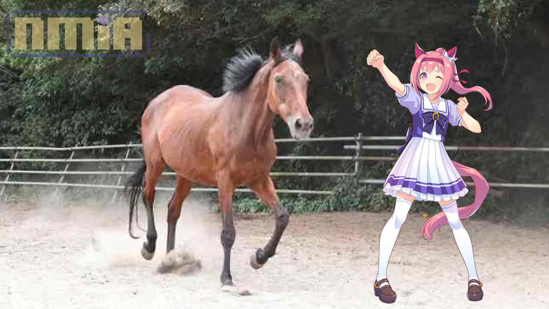 Haru Urara Passes Away At 29