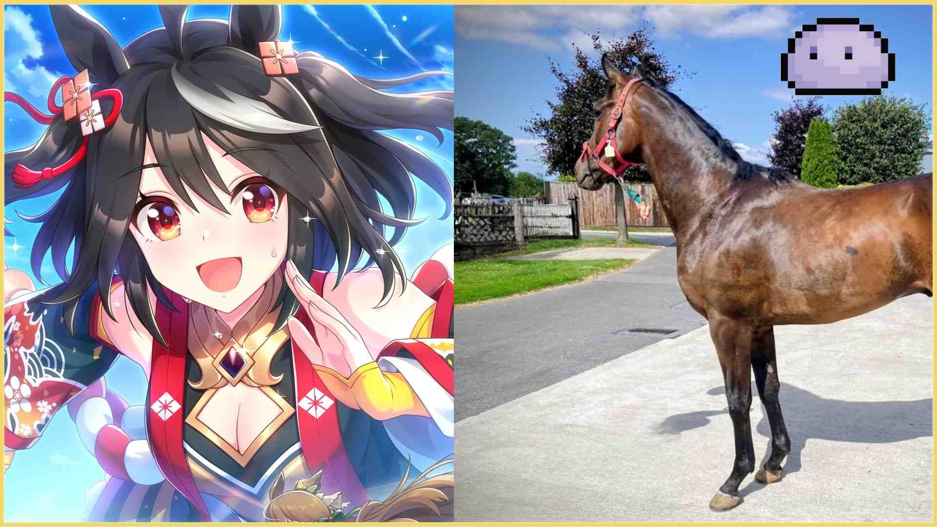 Umamusume Fans Get To Name Real Malaysian Racehorses Thanks To Selangor Turf Club